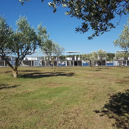 Floating House Sunflower * Pula