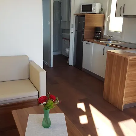 Floating House Sunflower *