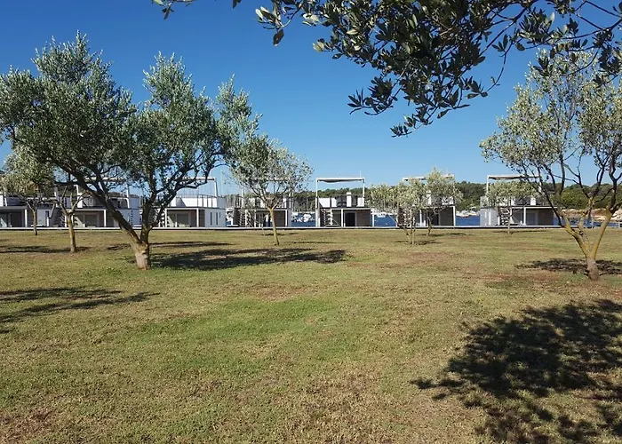 Floating House Sunflower * Póla