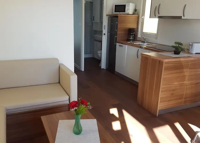 Floating House Sunflower *