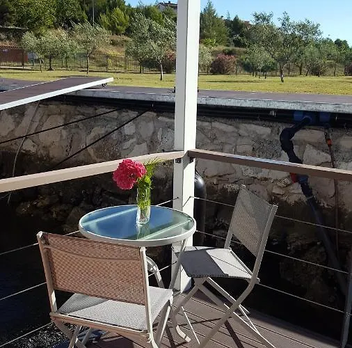 Floating House Sunflower *